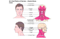 ATEMI-WAZA – Những điểm tấn công nguy hiểm đến tính mạng (tử huyệt)!