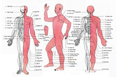 CÁC HUYỆT ĐẠO NGUY HIỂM CẦN ĐƯỢC BẢO VỆ