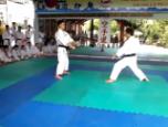 Biểu diễn kỹ thuật Kumite